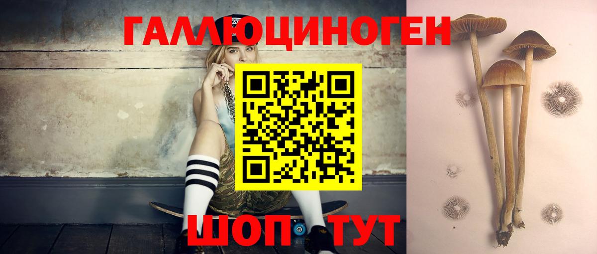 Псилоцибиновые грибы мицелий  Псилоцибиновые грибы мухоморы  Кимовск  Вход с VPN 